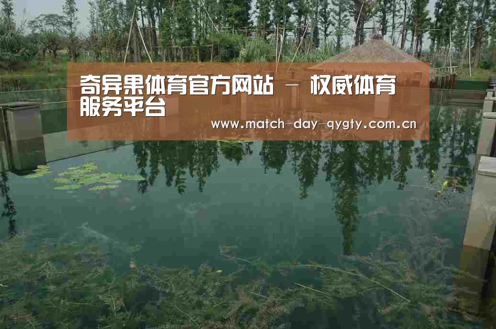 案例展示二(图1)