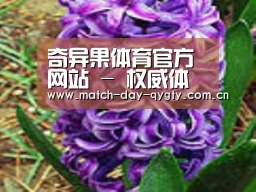 产品名称八
