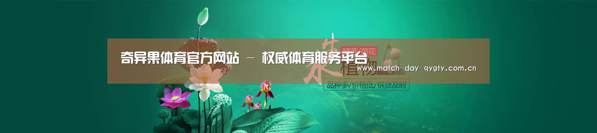 鲜花水草花卉网站模板