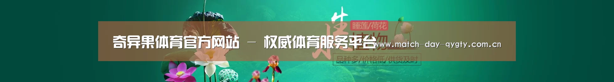 鲜花水草花卉网站模板