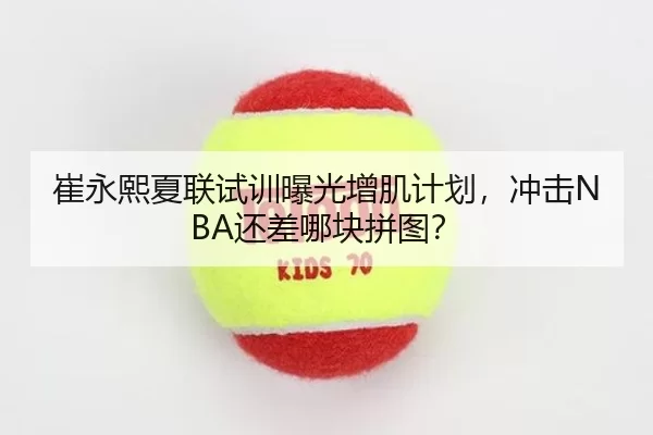 崔永熙夏联试训曝光增肌计划，冲击NBA还差哪块拼图？