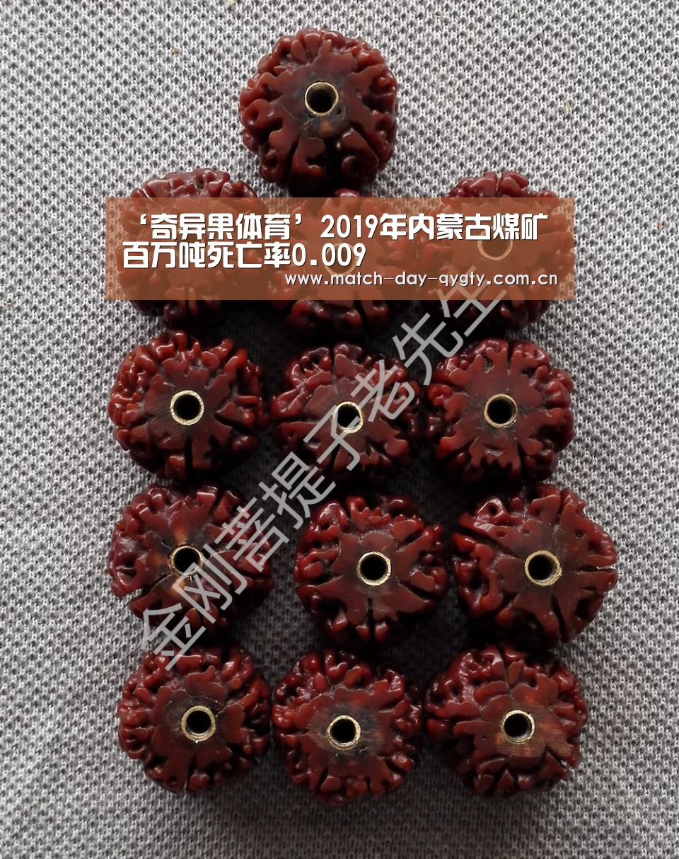 ‘奇异果体育’2019年内蒙古煤矿百万吨死亡率0.009(图1) 奇异果体育官网